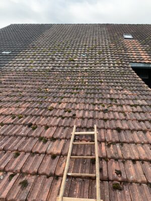 Dachreinigung Dachunterhalt