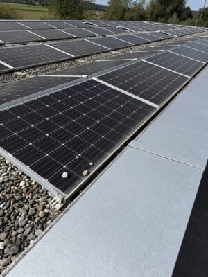 Solarpanel beschmutzt