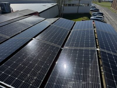 Flechten auf Solarmodulen Aesch LU Solarreinigung Aesch LU