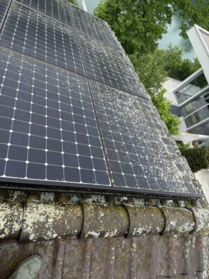 Flechten Solar PV Modul Bremgarten