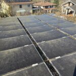 Algen auf Solarpanel