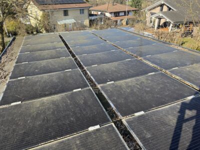 Algen auf Solarpanel