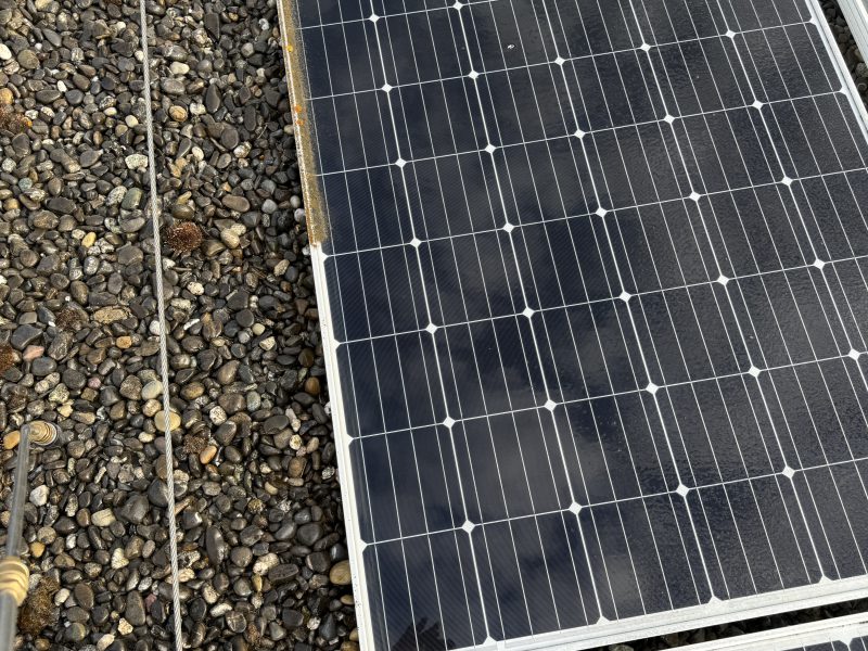 Flechtenbewuchs am unteren Rand der Solarmodule
