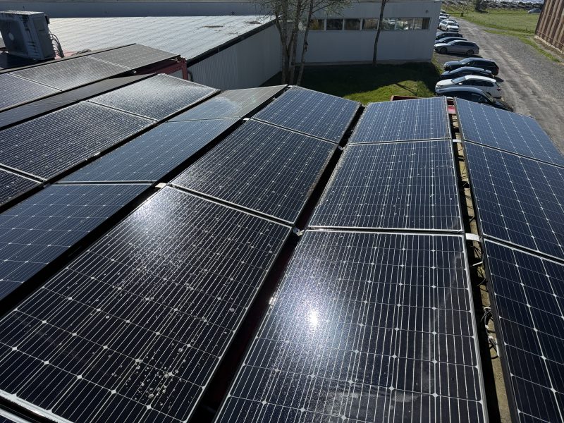 Flechten auf Solarmodulen in Aesch LU