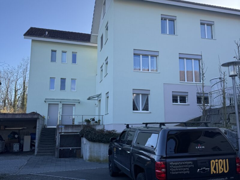 Hoch hinaus mit RIBU - Dachreinigung in Neuenkirch LU