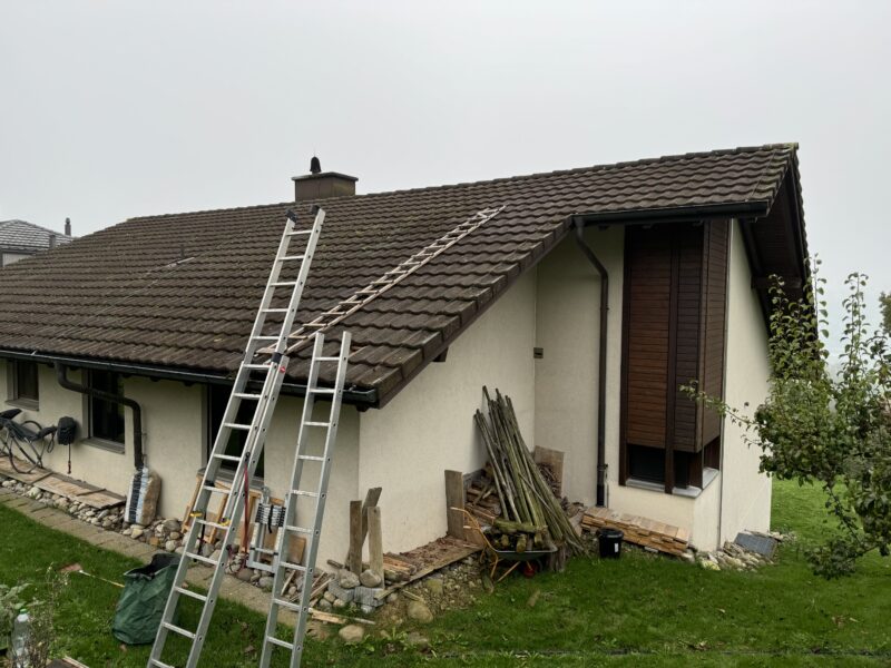 Dachreinigung aber sauber